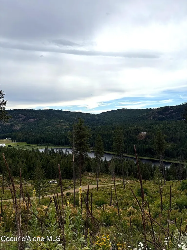 Lot 4 Dollar Creek Drive Sagle ID 83860