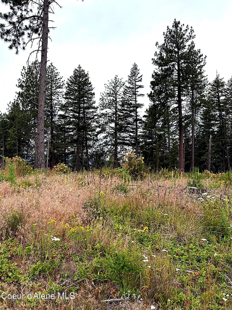 Lot 4 Dollar Creek Drive Sagle ID 83860