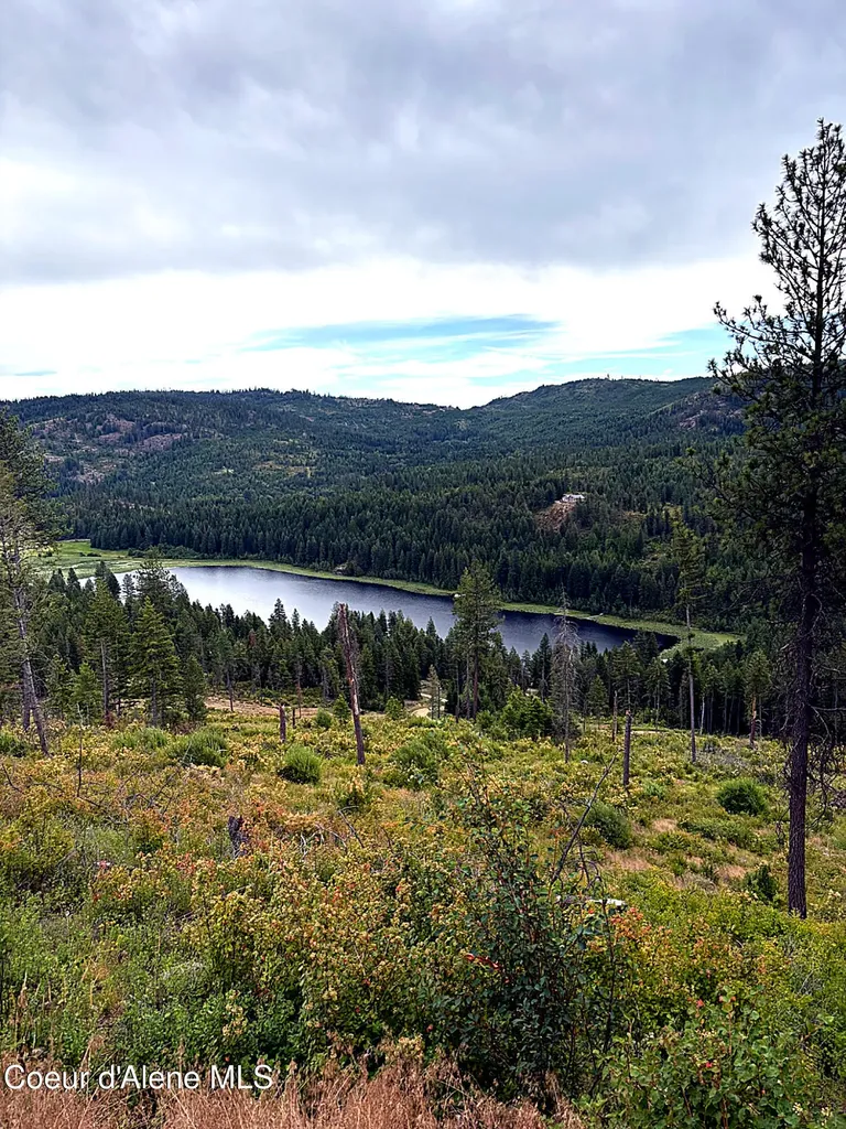 Lot 4 Dollar Creek Drive Sagle ID 83860