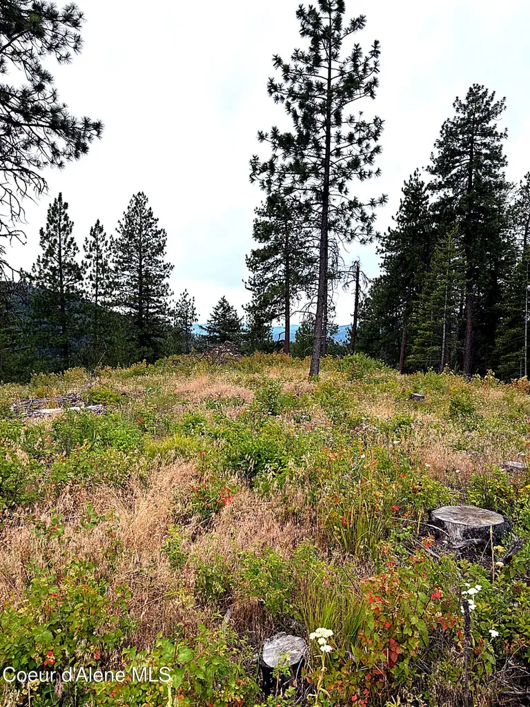Lot 4 Dollar Creek Drive Sagle ID 83860