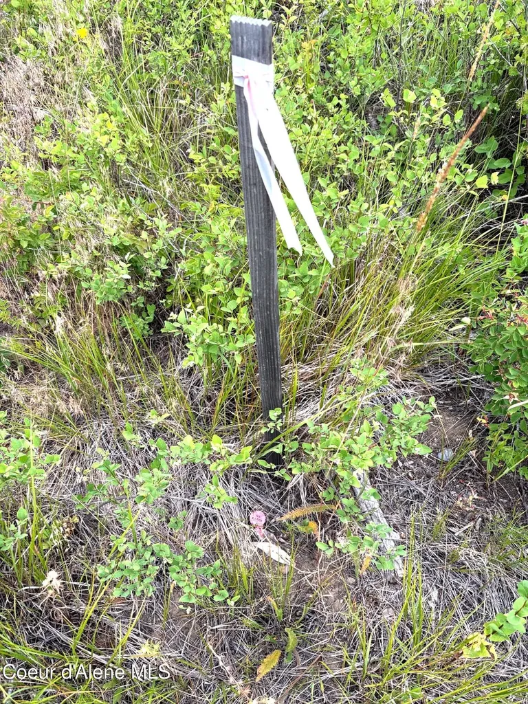 Lot 4 Dollar Creek Drive Sagle ID 83860
