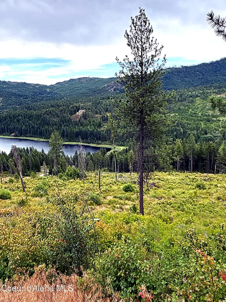 Lot 4 Dollar Creek Drive Sagle ID 83860