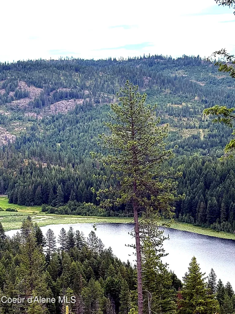 Lot 4 Dollar Creek Drive Sagle ID 83860