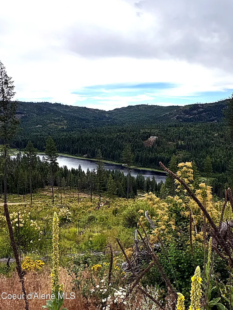 Lot 4 Dollar Creek Drive Sagle ID 83860