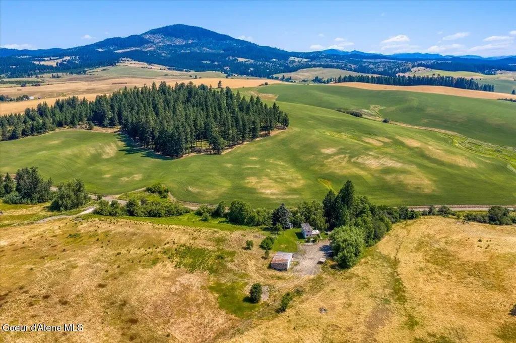 1071 Reynolds Road Princeton ID 83857