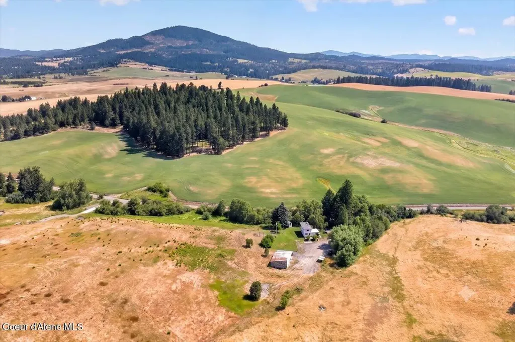 1071 Reynolds Road Princeton ID 83857