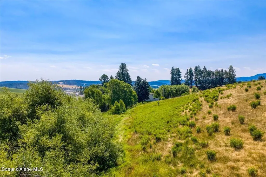 1071 Reynolds Road Princeton ID 83857