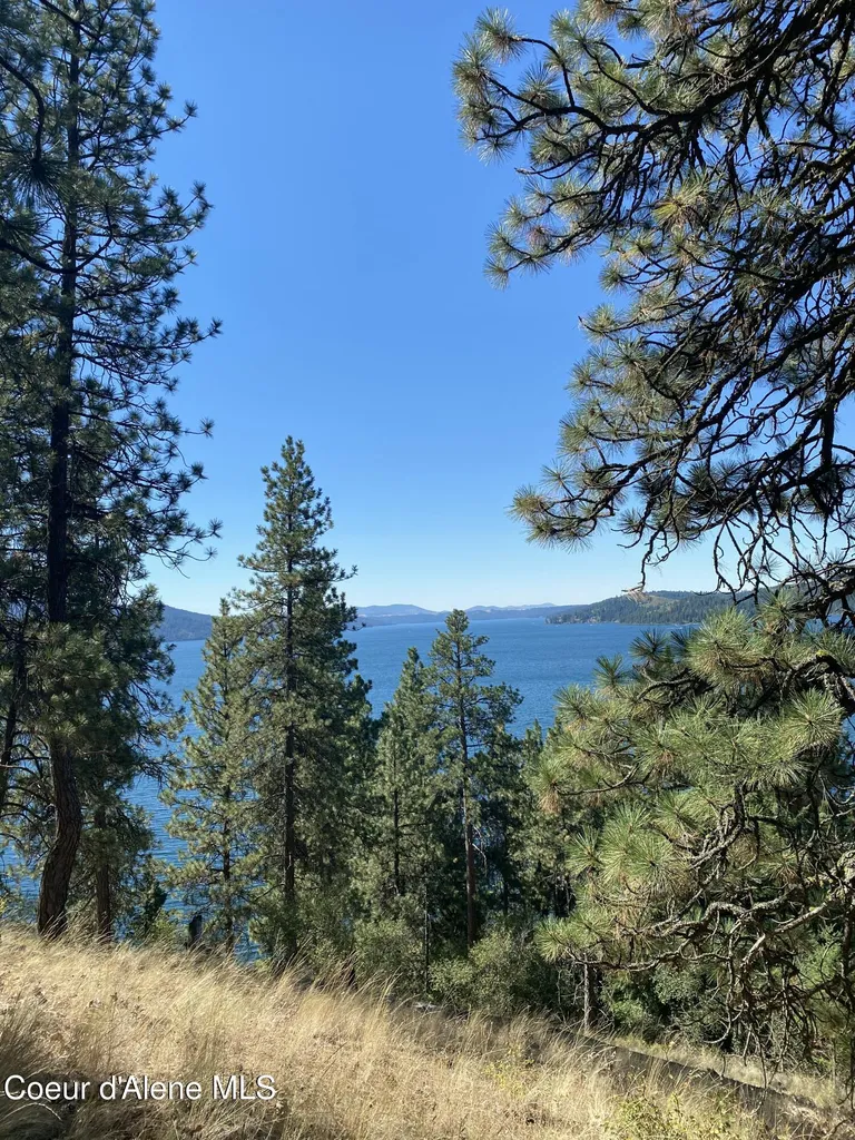 0000NKA E Driftwood Heights Drive Harrison ID 83833