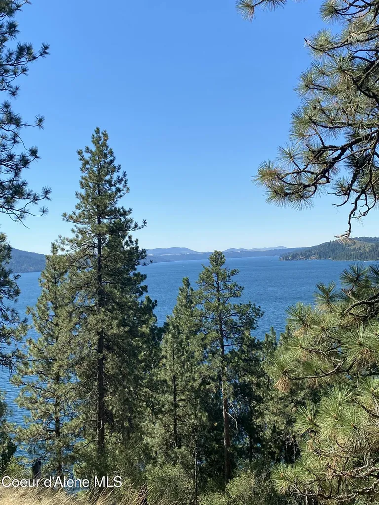 0000NKA E Driftwood Heights Drive Harrison ID 83833