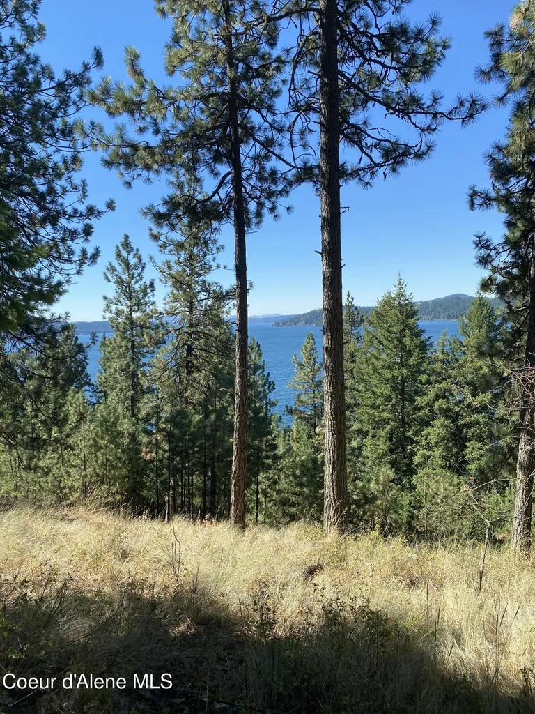 0000NKA E Driftwood Heights Drive Harrison ID 83833