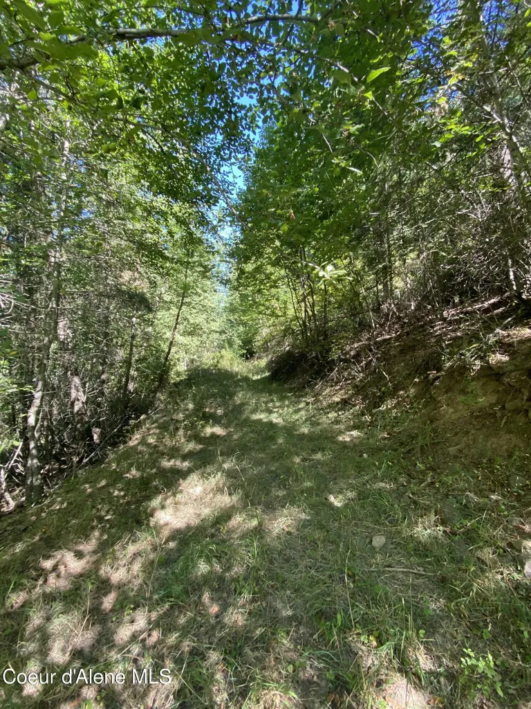 0000NKA E Driftwood Heights Drive Harrison ID 83833
