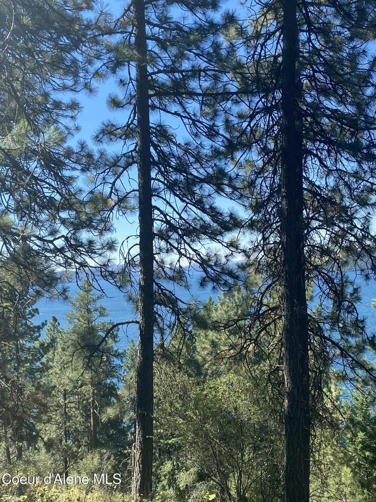 0000NKA E Driftwood Heights Drive Harrison ID 83833