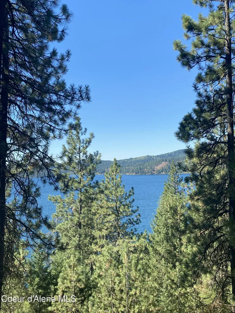 0000NKA E Driftwood Heights Drive Harrison ID 83833