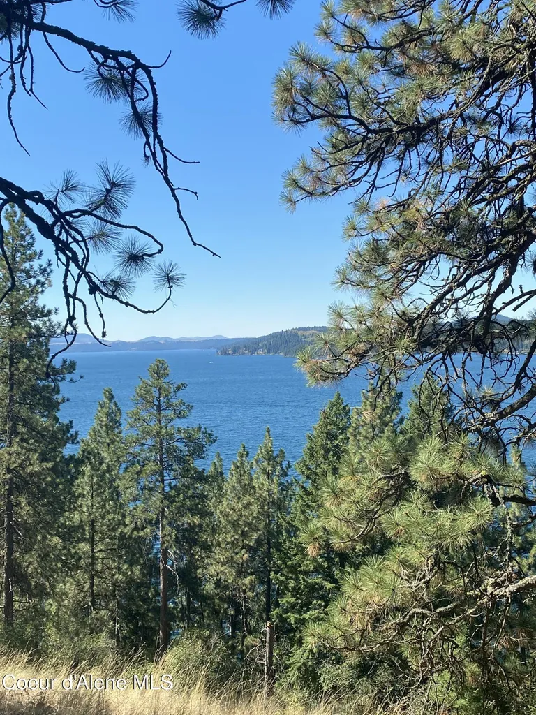 0000NKA E Driftwood Heights Drive Harrison ID 83833