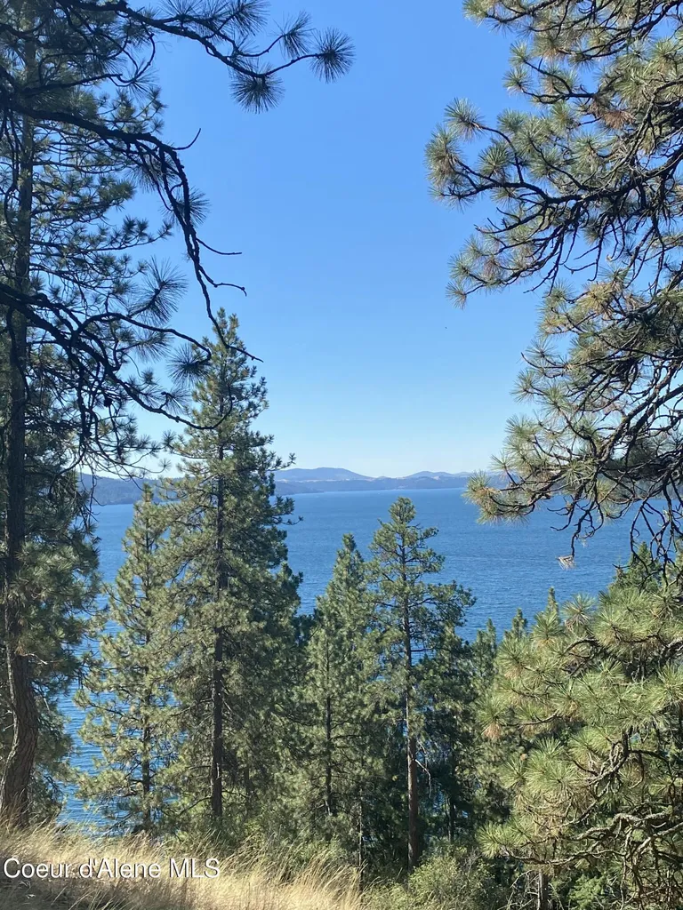 0000NKA E Driftwood Heights Drive Harrison ID 83833