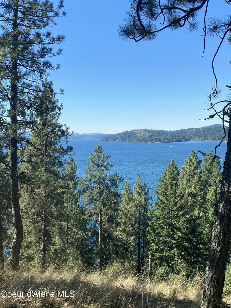 0000NKA E Driftwood Heights Drive Harrison ID 83833