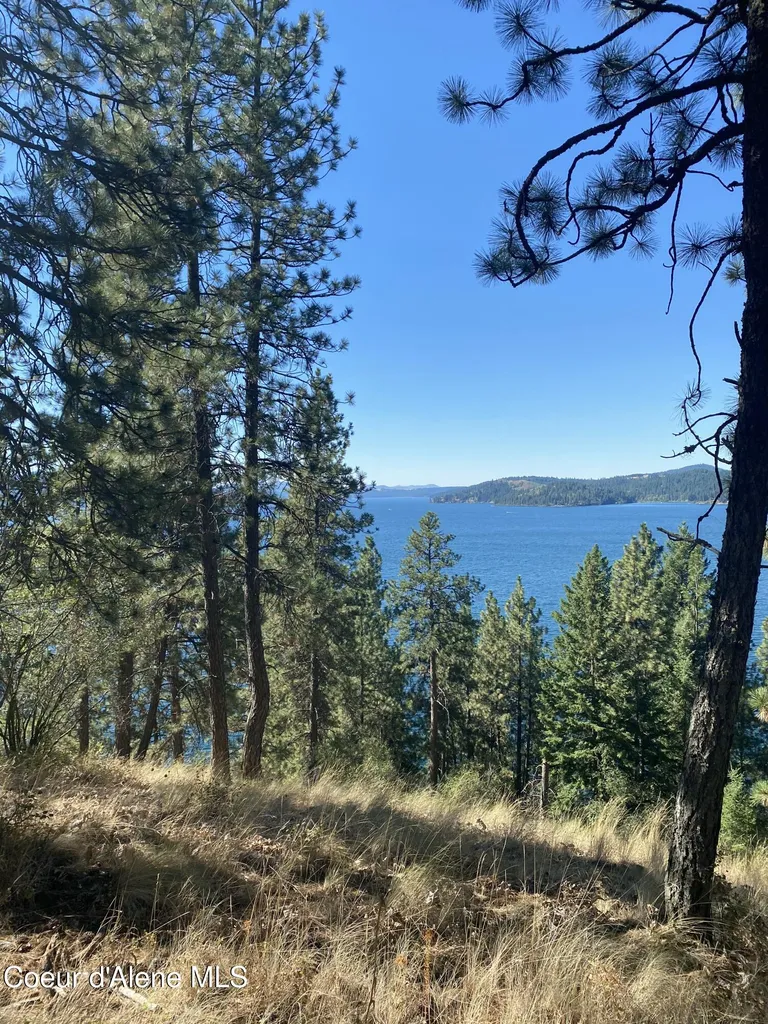 0000NKA E Driftwood Heights Drive Harrison ID 83833