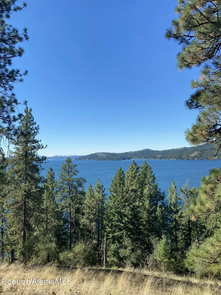 0000NKA E Driftwood Heights Drive Harrison ID 83833