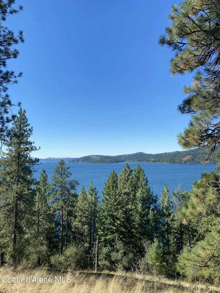 0000NKA E Driftwood Heights Drive Harrison ID 83833