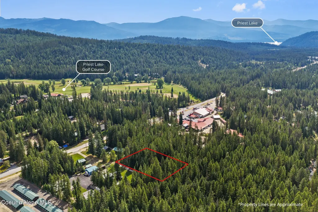 163 Shasta Way Priest Lake ID 83856
