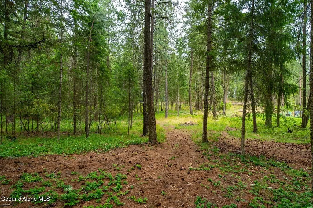 493 Rim Drive Moyie Springs ID 83845