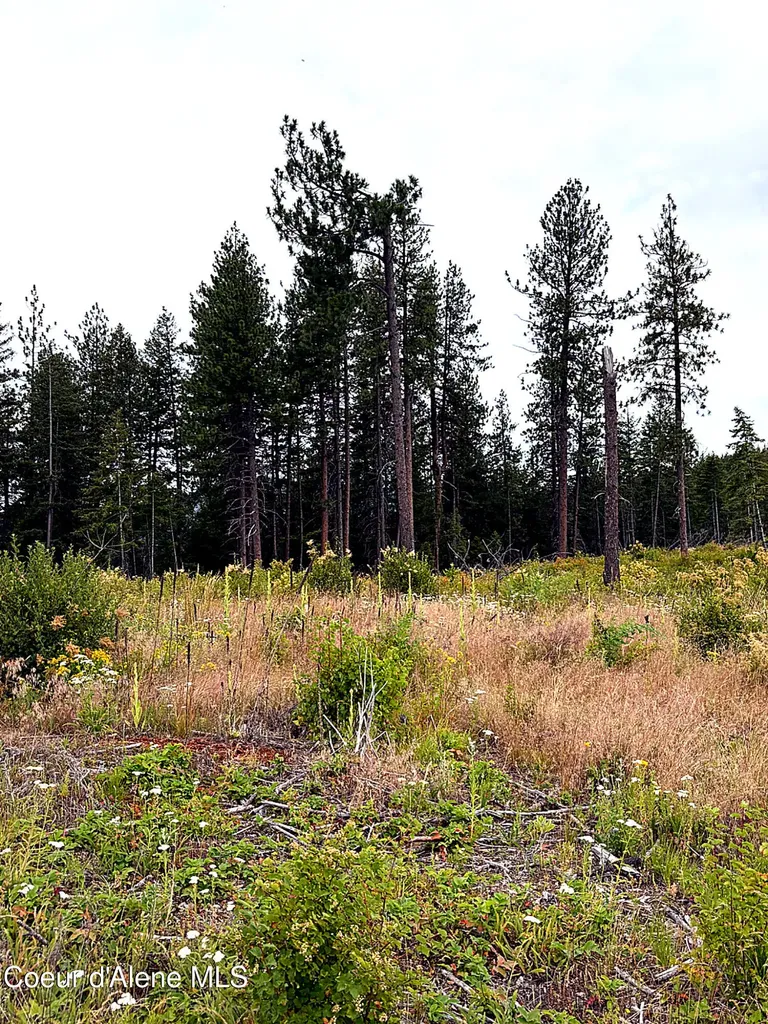 Lot 3 Dollar Creek Drive Sagle ID 83860