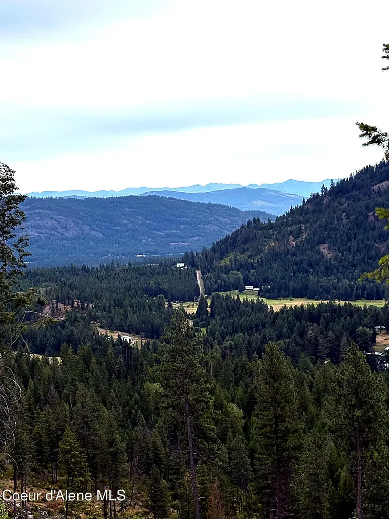 Lot 3 Dollar Creek Drive Sagle ID 83860