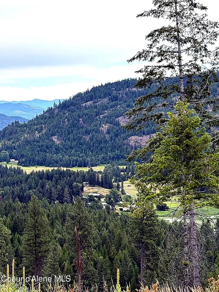 Lot 3 Dollar Creek Drive Sagle ID 83860