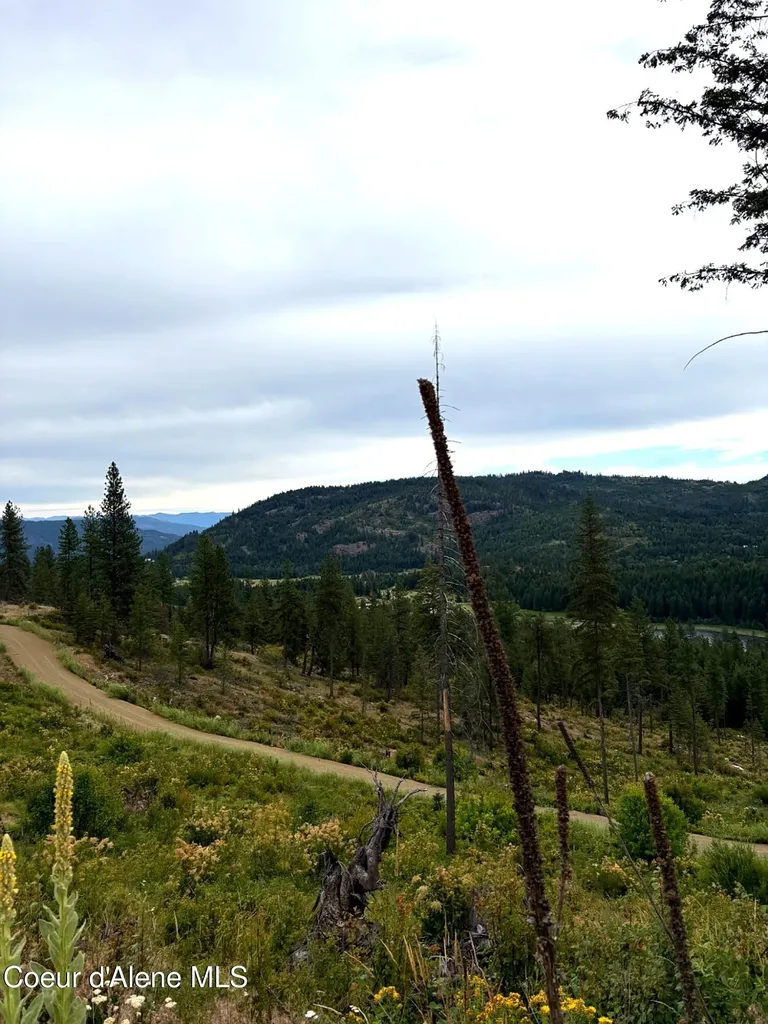 Lot 3 Dollar Creek Drive Sagle ID 83860