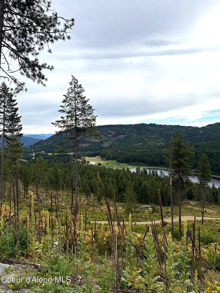 Lot 3 Dollar Creek Drive Sagle ID 83860