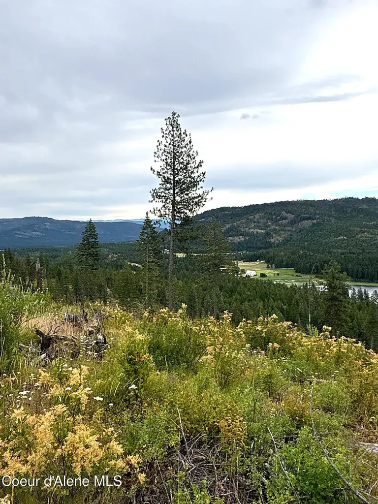Lot 3 Dollar Creek Drive Sagle ID 83860