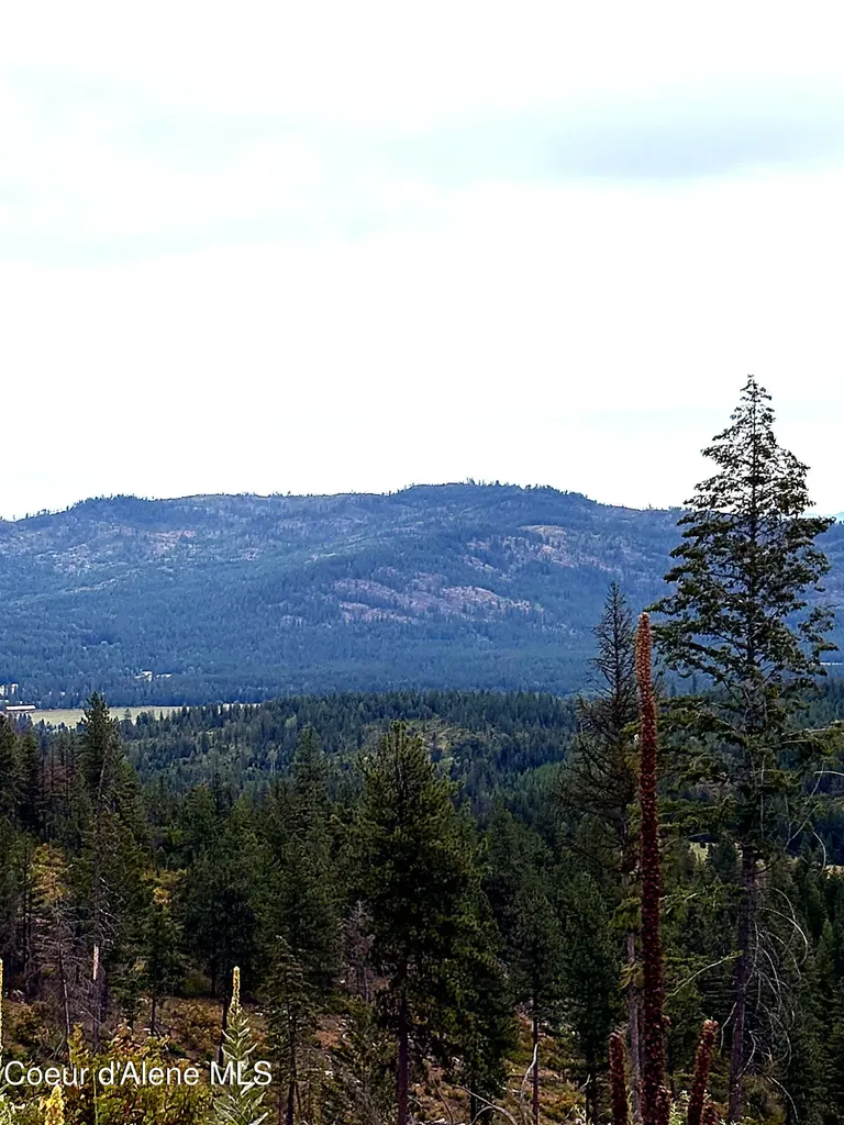 Lot 3 Dollar Creek Drive Sagle ID 83860