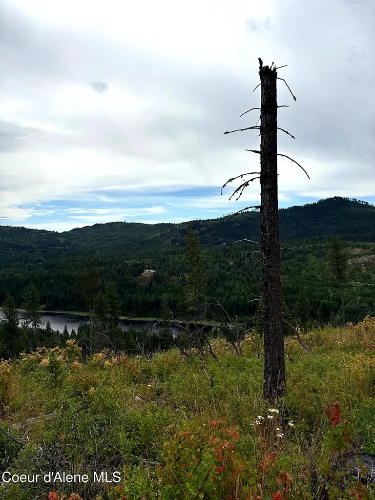 Lot 3 Dollar Creek Drive Sagle ID 83860