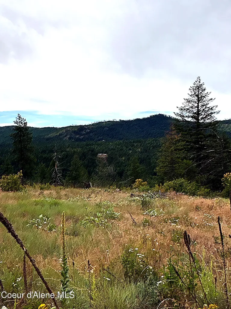 Lot 3 Dollar Creek Drive Sagle ID 83860