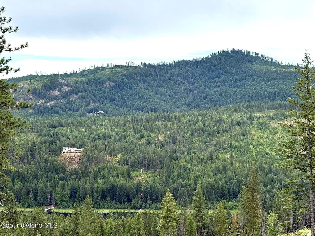 Lot 3 Dollar Creek Drive Sagle ID 83860