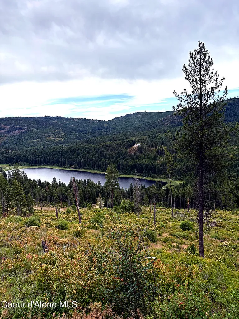 Lot 3 Dollar Creek Drive Sagle ID 83860