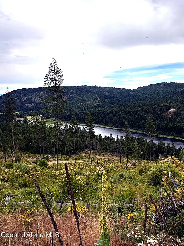 Lot 2 Dollar Creek Drive Sagle ID 83860