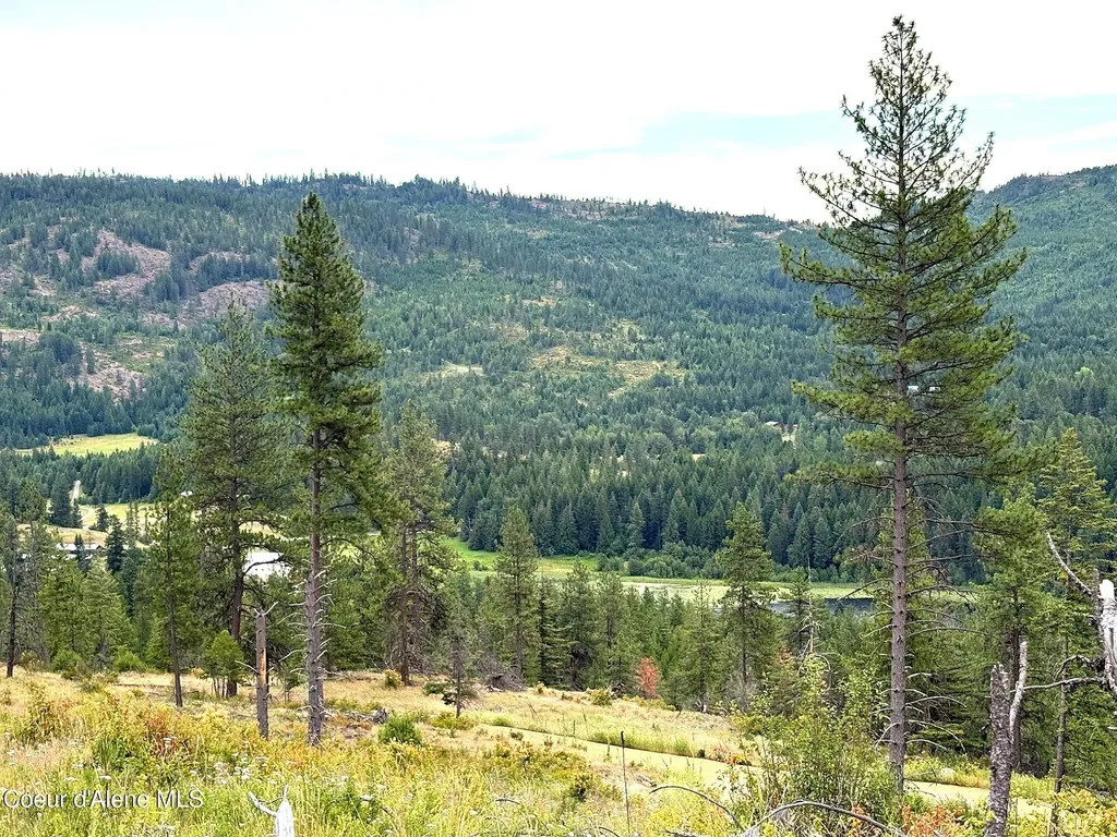 Lot 2 Dollar Creek Drive Sagle ID 83860