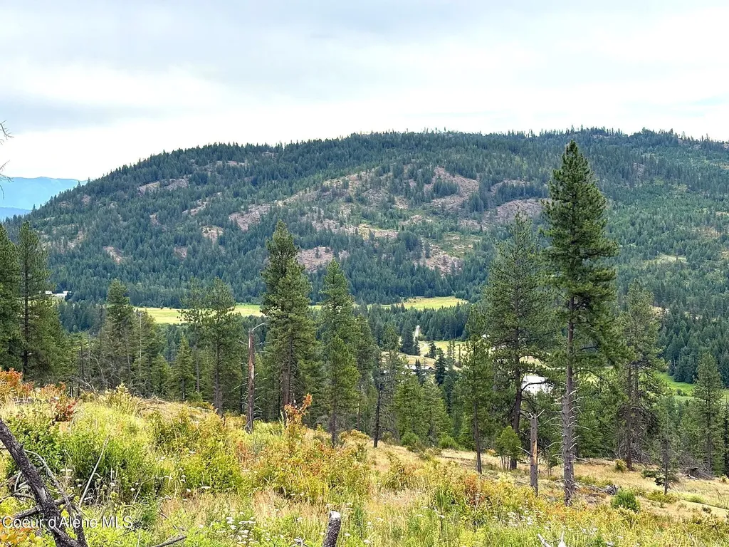 Lot 2 Dollar Creek Drive Sagle ID 83860