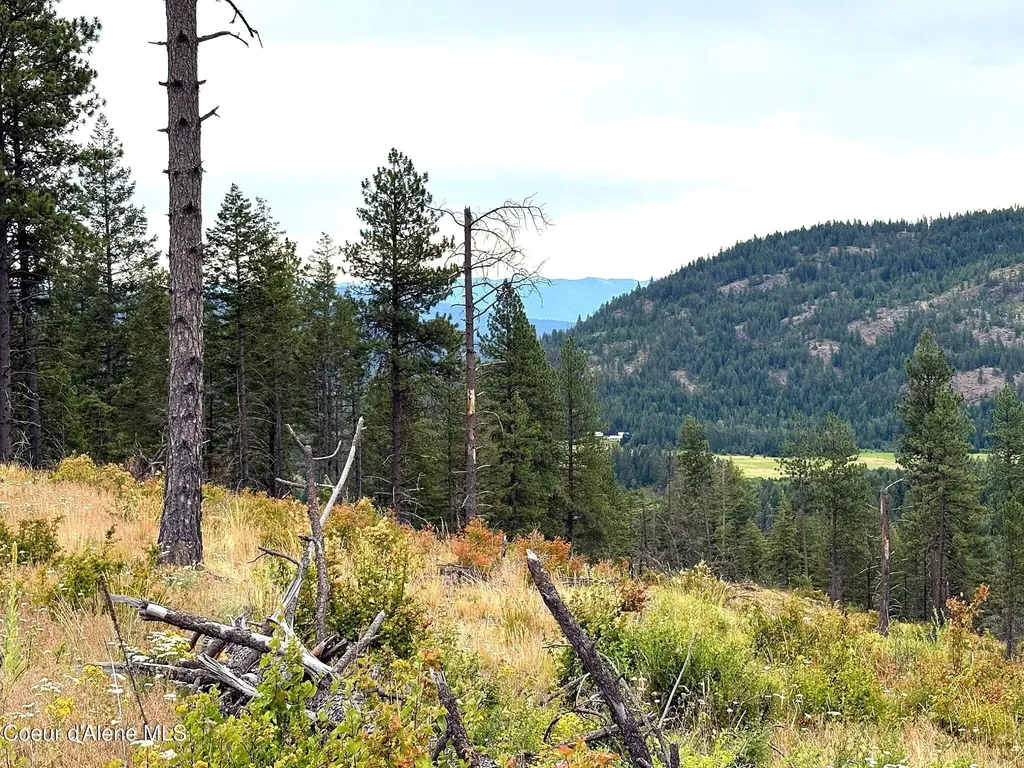 Lot 2 Dollar Creek Drive Sagle ID 83860