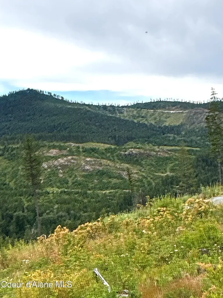 Lot 2 Dollar Creek Drive Sagle ID 83860