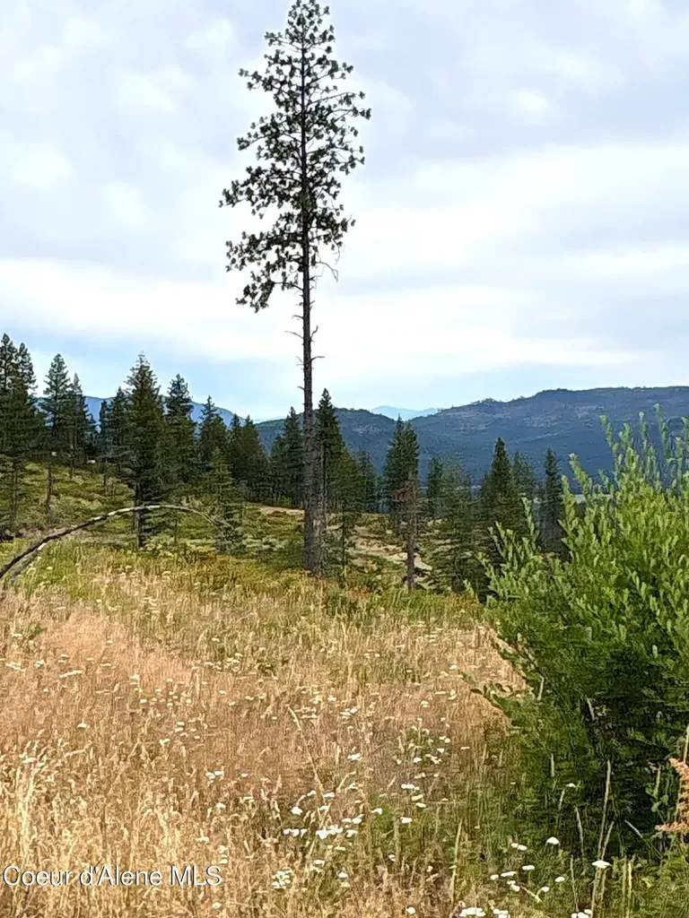 Lot 2 Dollar Creek Drive Sagle ID 83860