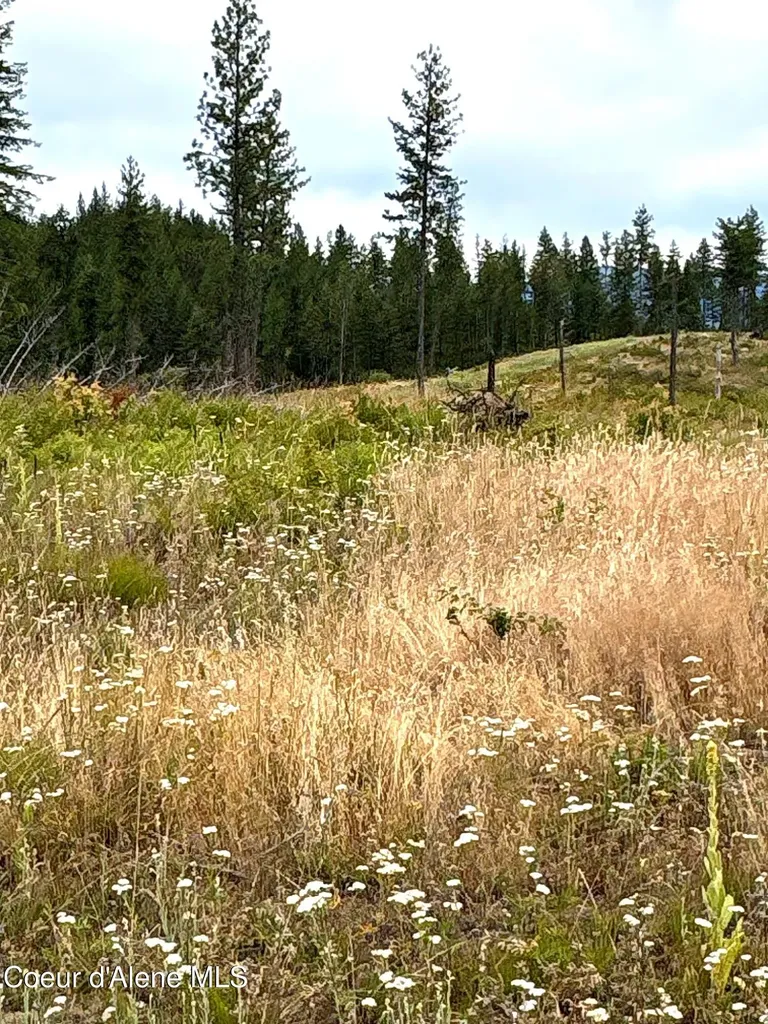 Lot 2 Dollar Creek Drive Sagle ID 83860