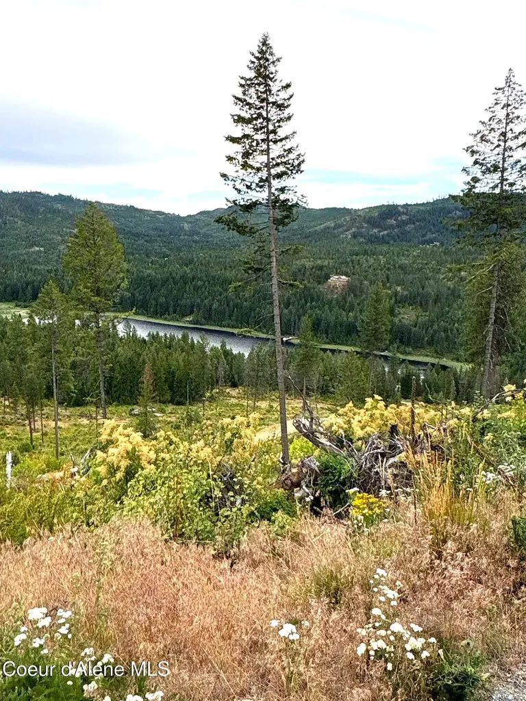 Lot 2 Dollar Creek Drive Sagle ID 83860