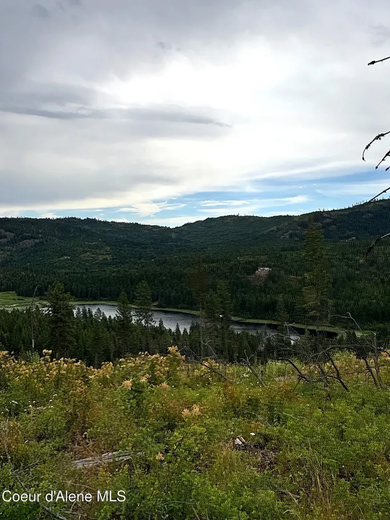Lot 2 Dollar Creek Drive Sagle ID 83860