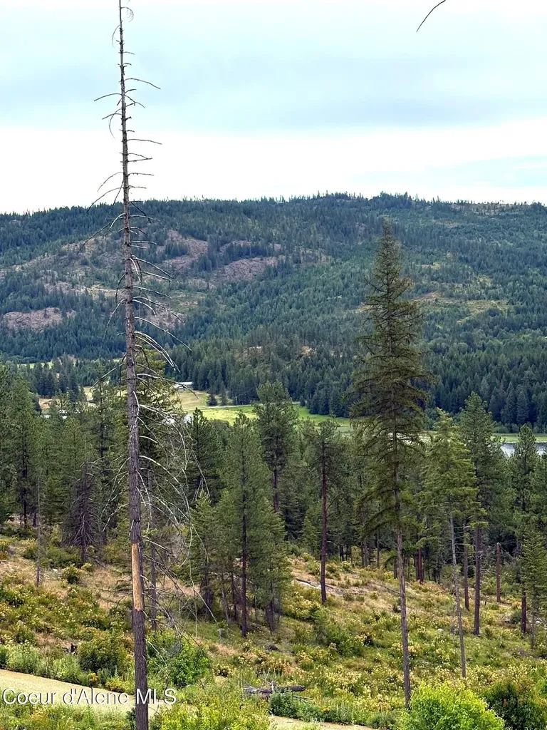 Lot 2 Dollar Creek Drive Sagle ID 83860