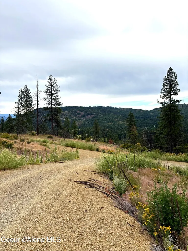 Lot 2 Dollar Creek Drive Sagle ID 83860