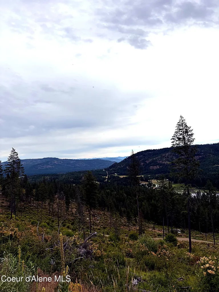 Lot 2 Dollar Creek Drive Sagle ID 83860
