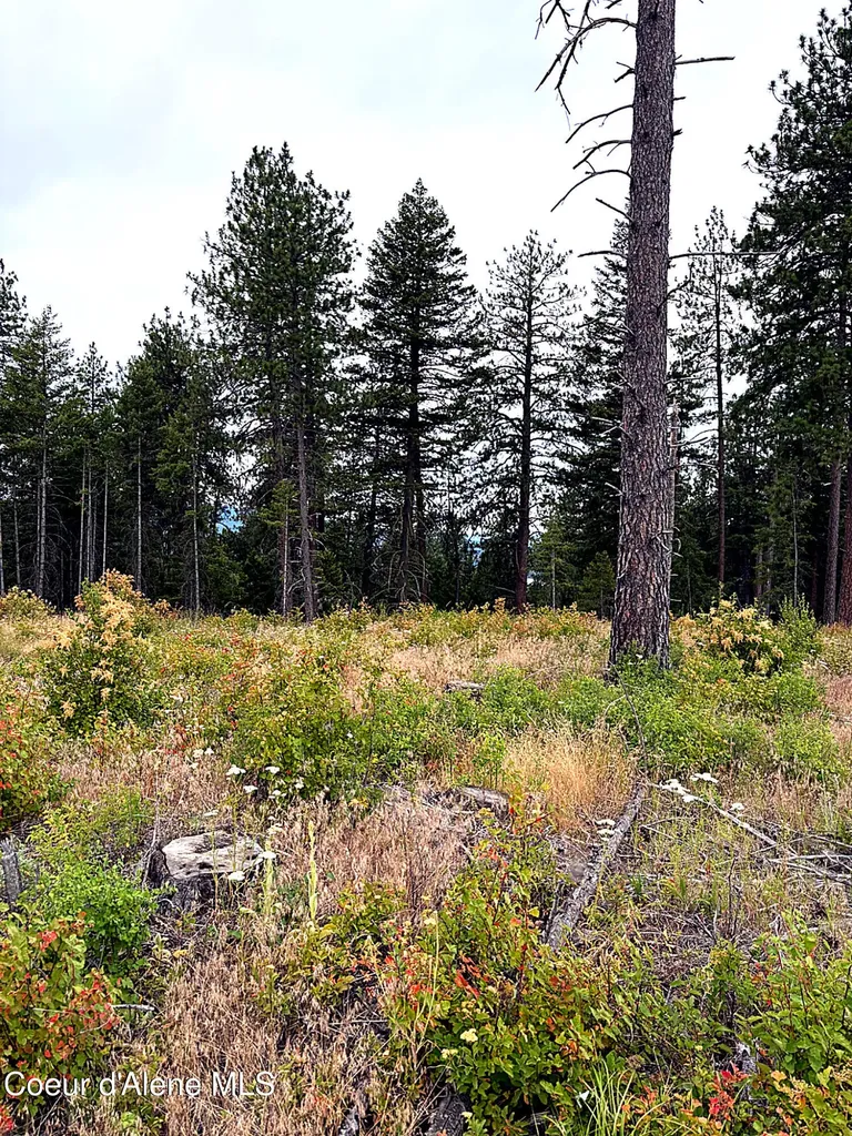 Lot 2 Dollar Creek Drive Sagle ID 83860