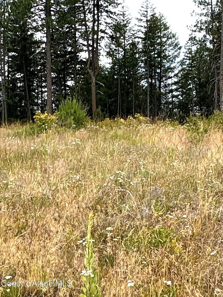 Lot 2 Dollar Creek Drive Sagle ID 83860